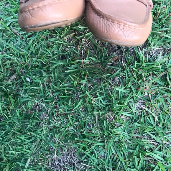 Coach flats Fredrica❌sold - Picture 2 of 4